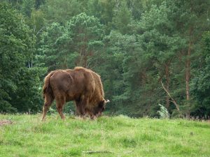 Uzdrowisko nad Bałtykiem