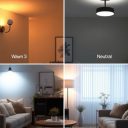 Oświetlenie a ciepło wnętrza: jak barwa światła kształtuje atmosferę i funkcjonalność pomieszczeń